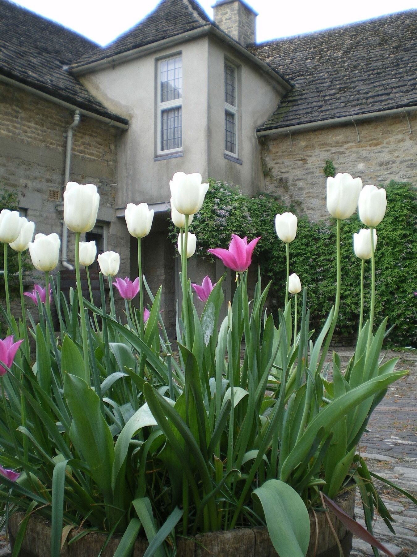 فندق Barnsley House Ampney Crucis المظهر الخارجي الصورة